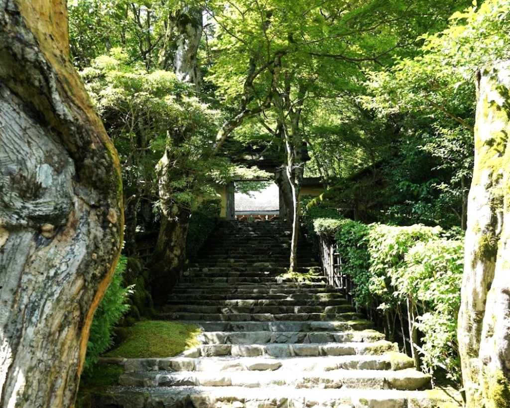 京都大原 寂光院 山門入り口