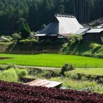 京都大原の田園風景