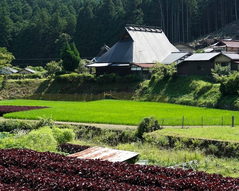 京都大原の田園風景