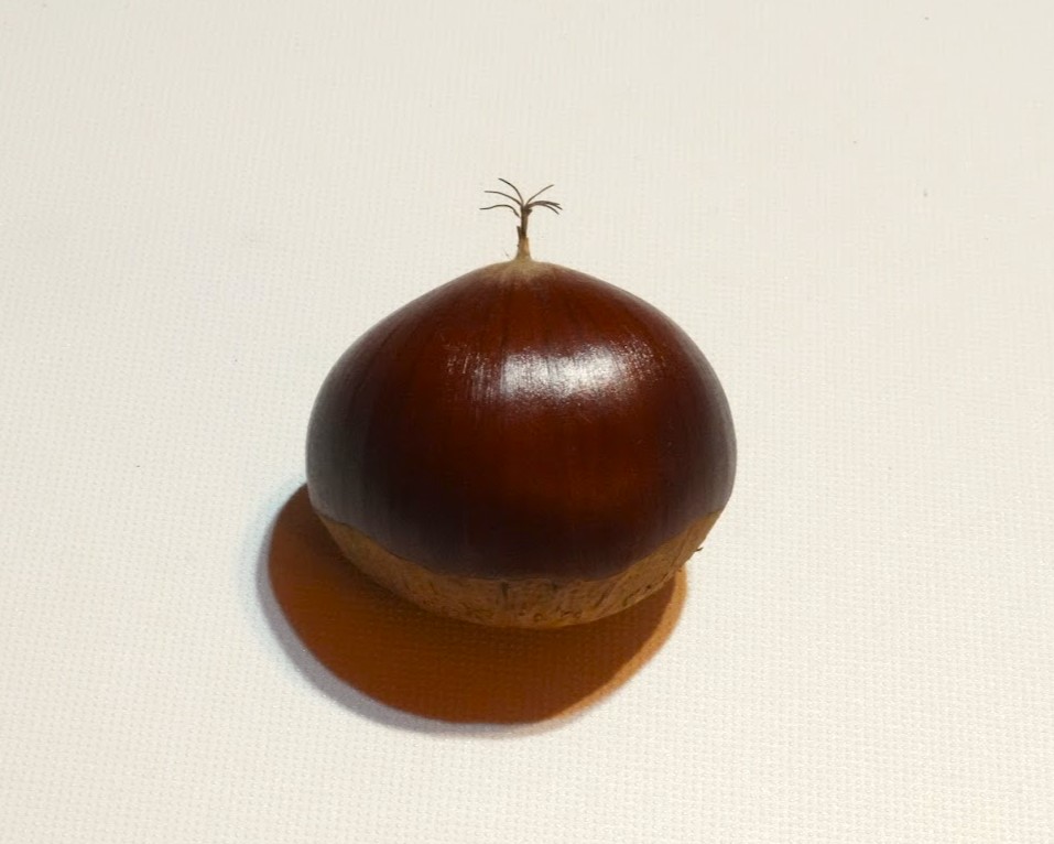 栗