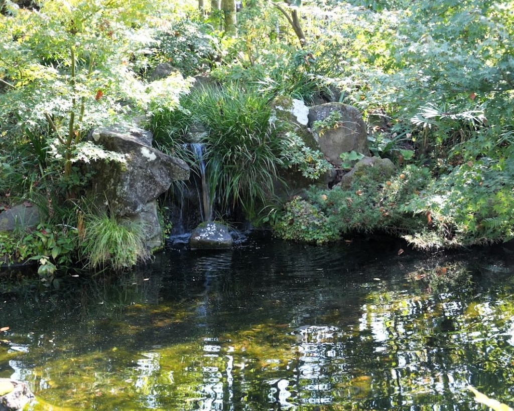高尾 駒木野庭園 池