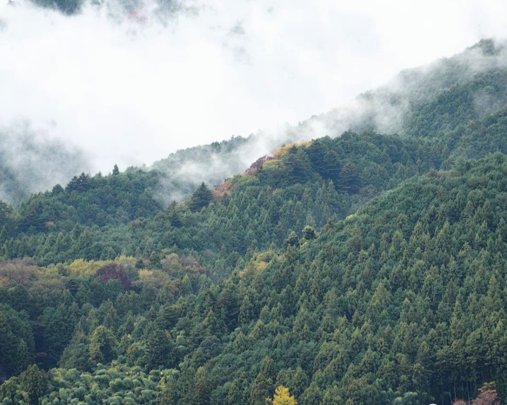 雨上がりの奥多摩の山並み
