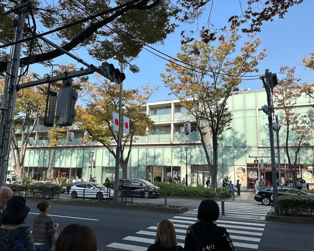 文化の日　明治節　表参道