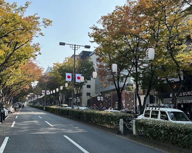 文化の日　明治節　表参道