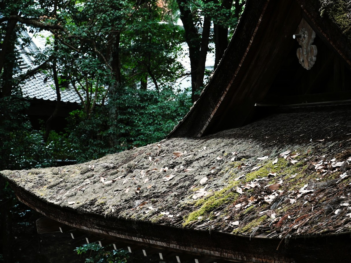 大神神社 苔むした屋根