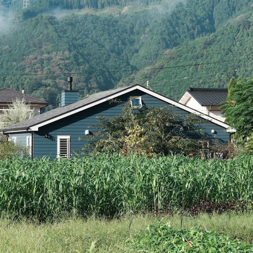 ソルゴー緑肥刈払い