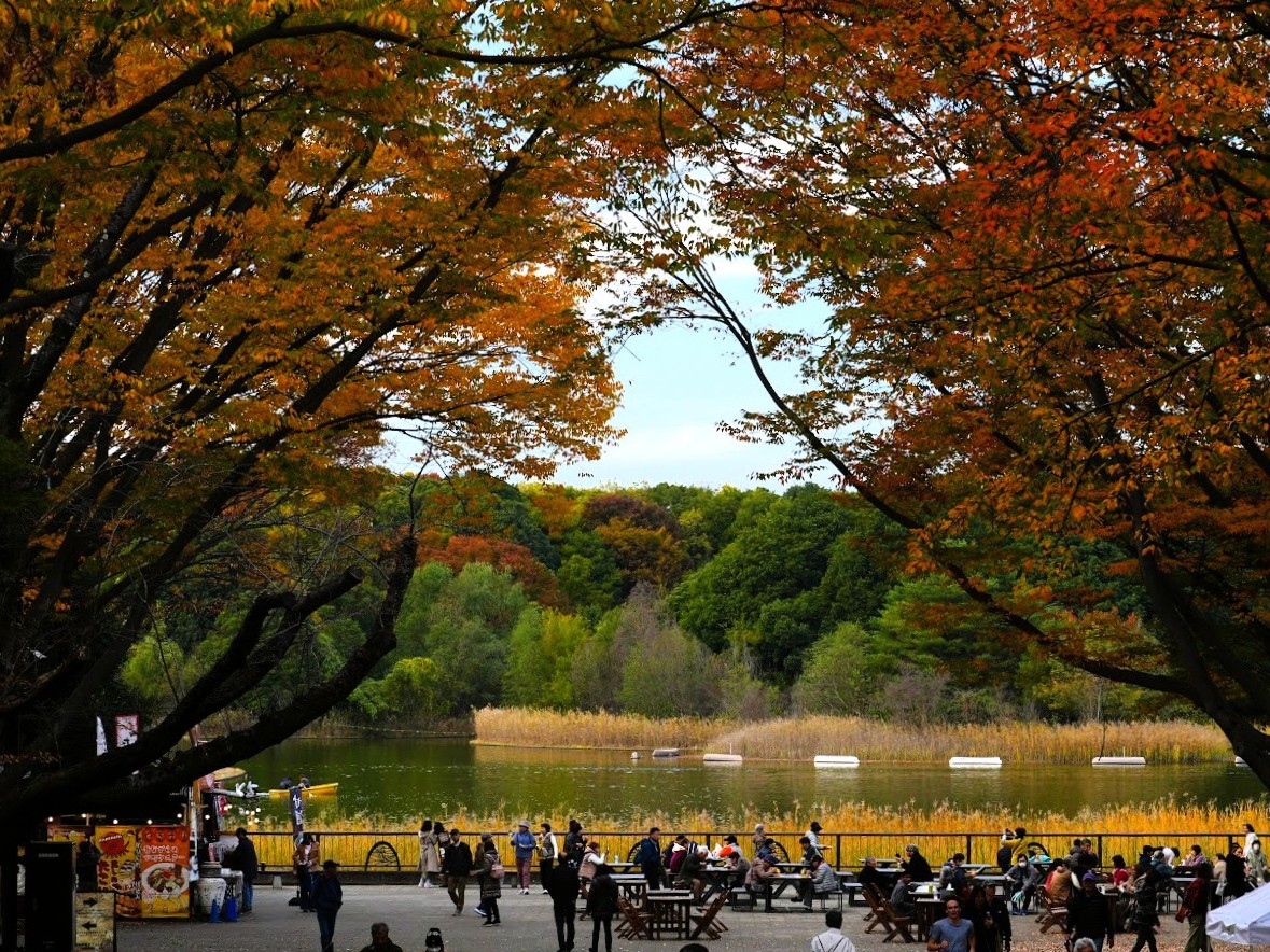 昭和記念公園の秋