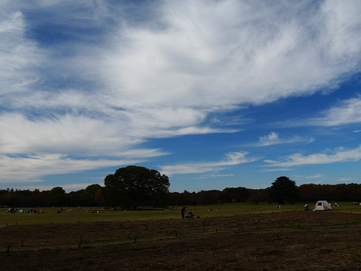 昭和記念公園の秋