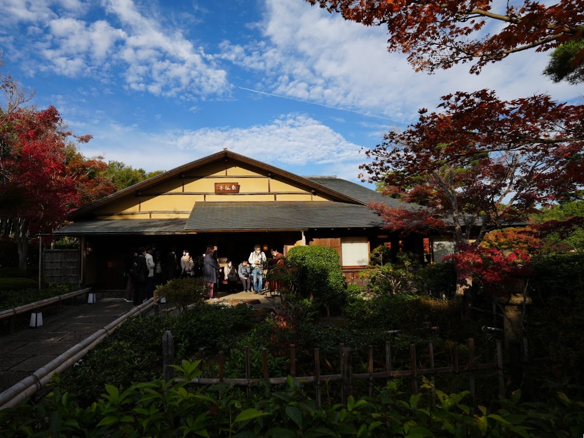 昭和記念公園の秋