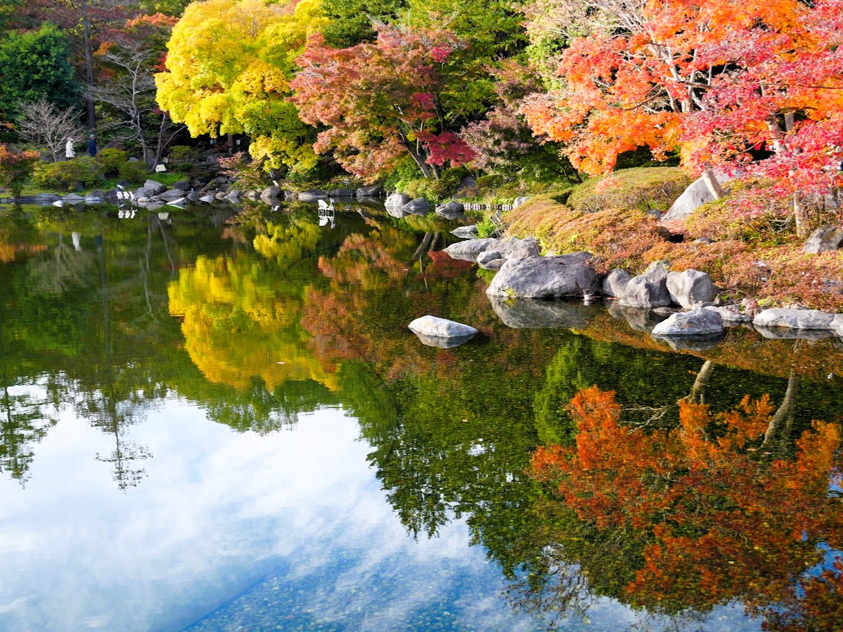昭和記念公園の秋