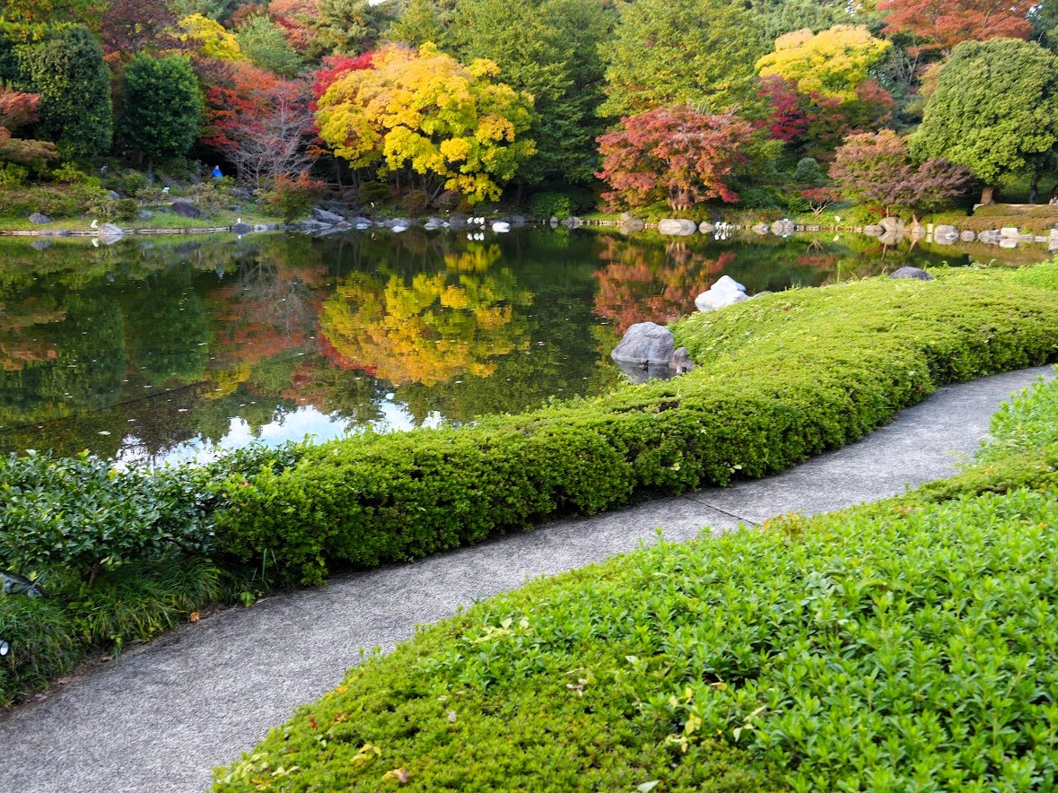昭和記念公園の秋
