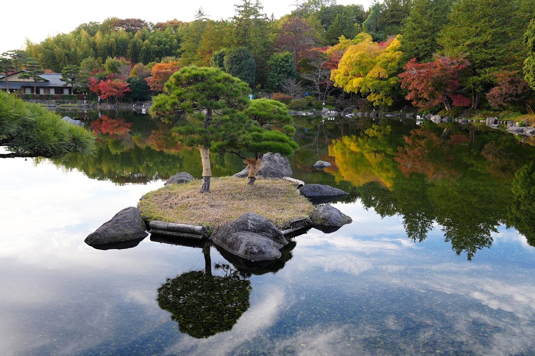 昭和記念公園の秋
