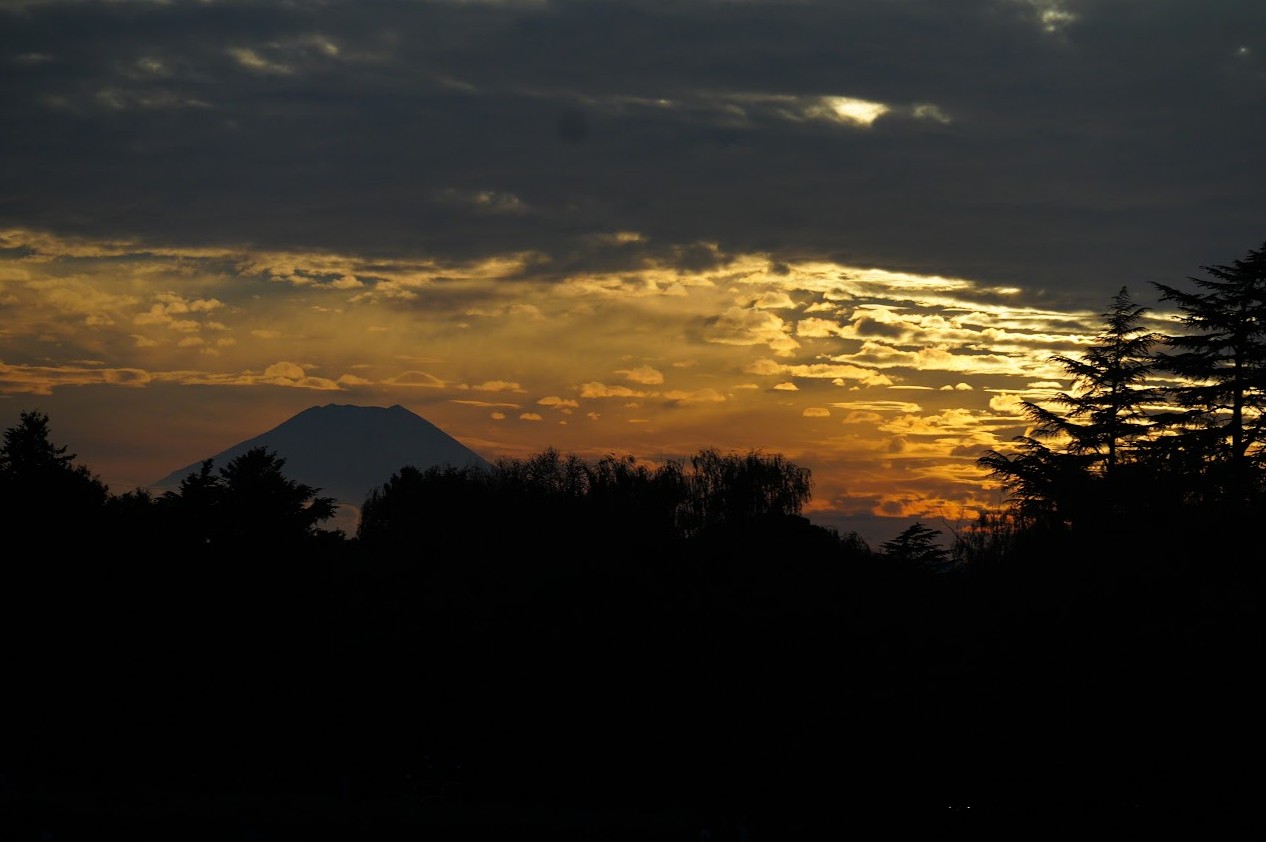 昭和記念公園の秋