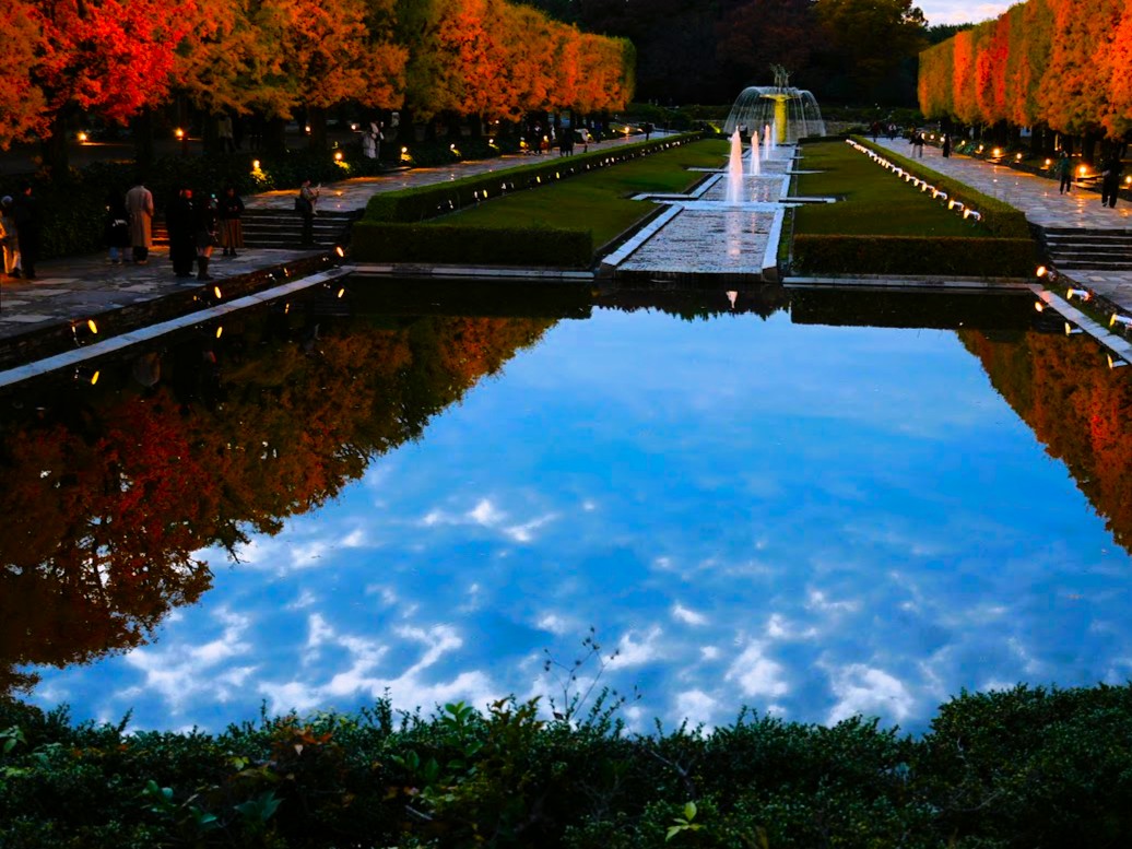 昭和記念公園の秋