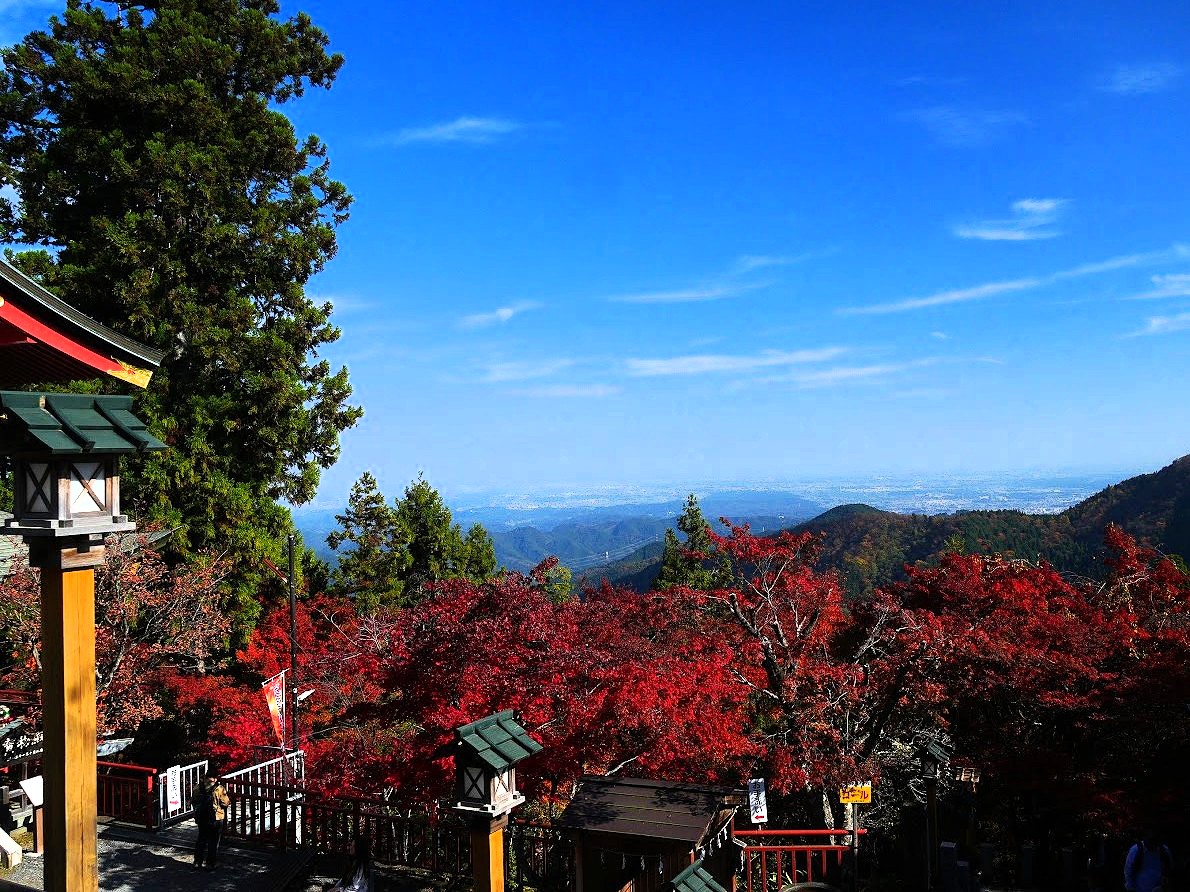 武蔵御岳神社　都内の眺望