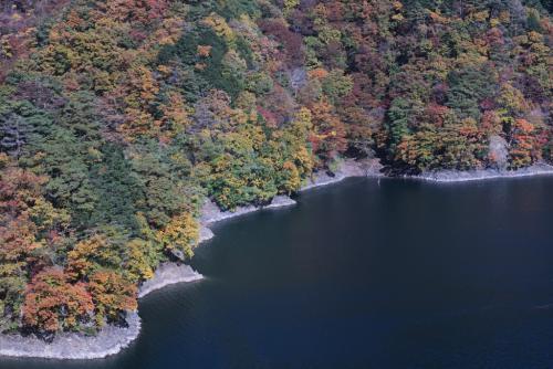 奥多摩湖　小河内神社からの紅葉