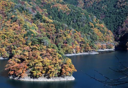奥多摩湖　小河内神社からの紅葉